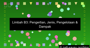 Limbah B3